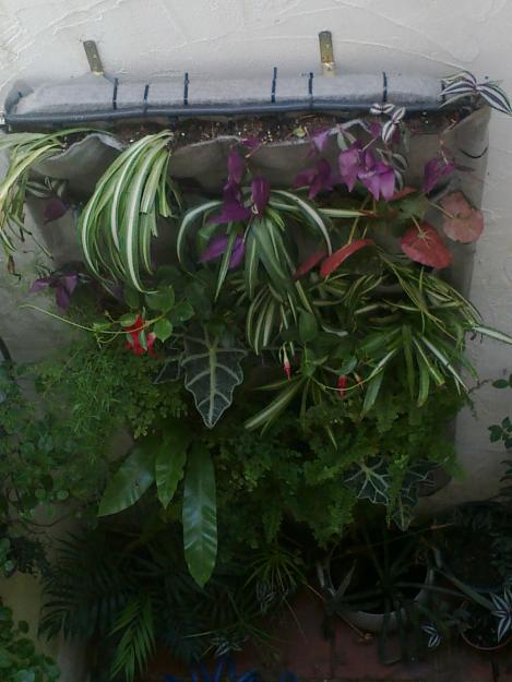 VENTA DE JARDINES Y HUERTOS VERTICALES