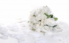 Reportajes de boda en vídeo Full HD ECONOMICO - mejor precio | unprecio.es