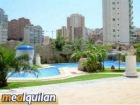 Apartamento en alquiler en Benidorm, Alicante (Costa Blanca) - mejor precio | unprecio.es