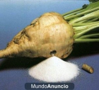 EXPORTACION Y VENTA DE AZUCAR DE REMOLACHA - mejor precio | unprecio.es
