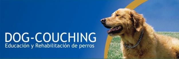 EDUCA A TU PERRO