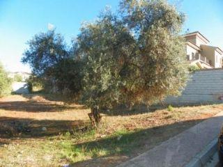 Terreno/Finca Rstica en venta en Alhaurín el Grande, Málaga (Costa del Sol)