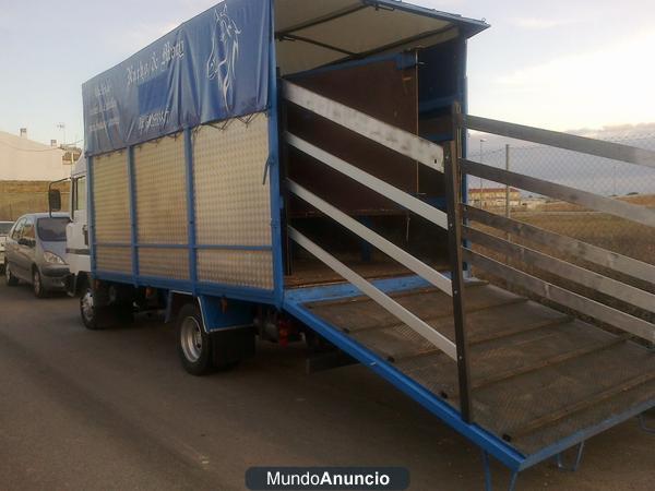 TRNASPORTE DE CABALLOS EN CIUDAD REAL