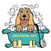 Peluqueria Canina Mimos