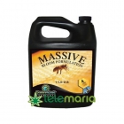 Massive Bloom - mejor precio | unprecio.es