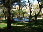 Apartamento en venta en Santa Ponsa, Mallorca (Balearic Islands) - mejor precio | unprecio.es