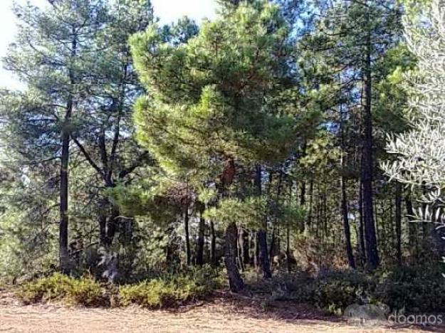 2,7 hect de finca rústica en la Sierra de Gata.