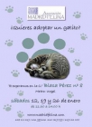 DIA DE LA ADOPCION MADRID FELINA - mejor precio | unprecio.es