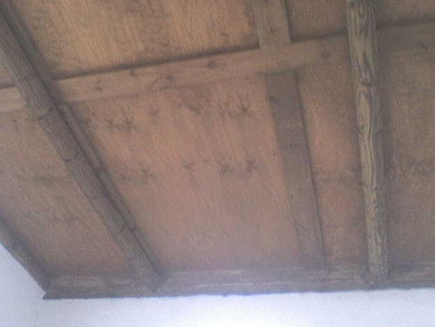 estructura de madera tratada y techo de madera + chapa plástica
