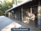 Residencia de ANIMALES Largas Estancias Barcelona Fontfreda - mejor precio | unprecio.es