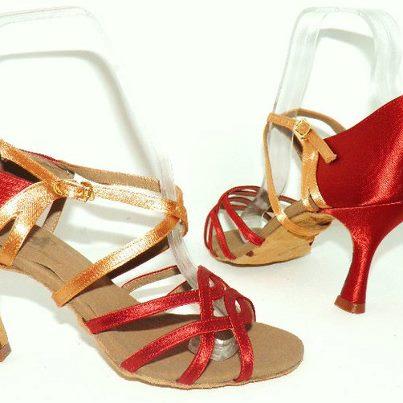 Zapatos de baile de Salsa - Tango - Salón - Pasión www.veronicamassini.com