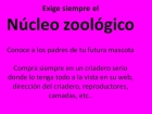 Labrador Retriever - Nucleo zoologico Obligatorio - mejor precio | unprecio.es
