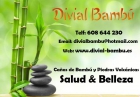 Cañas de bambú DIVIAL Bambú Bambuterapia - mejor precio | unprecio.es