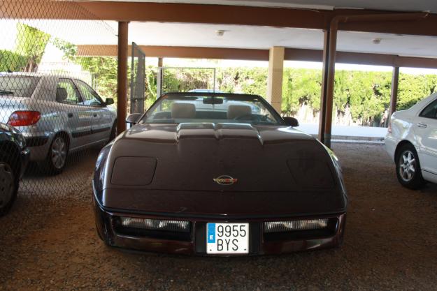 corvette chevrolert