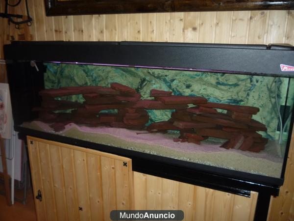 VENDO ACUARIO 300 Litros  450€