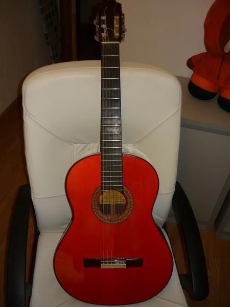 VENDO GUITARRA FLAMENCA DE PALOSANTO