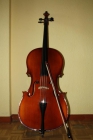 Vendo/Cambio Violonchelo - mejor precio | unprecio.es