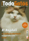 Gatitos ragdoll de calidad!!! no tires tu dinero... - mejor precio | unprecio.es