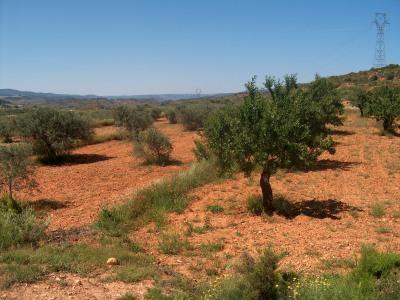 3b  , 2ba   in Teresa De Cofrentes,  Valencia And Costa del Azahar   - 64000  EUR