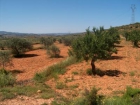 3b , 2ba in Teresa De Cofrentes, Valencia And Costa del Azahar - 64000 EUR - mejor precio | unprecio.es
