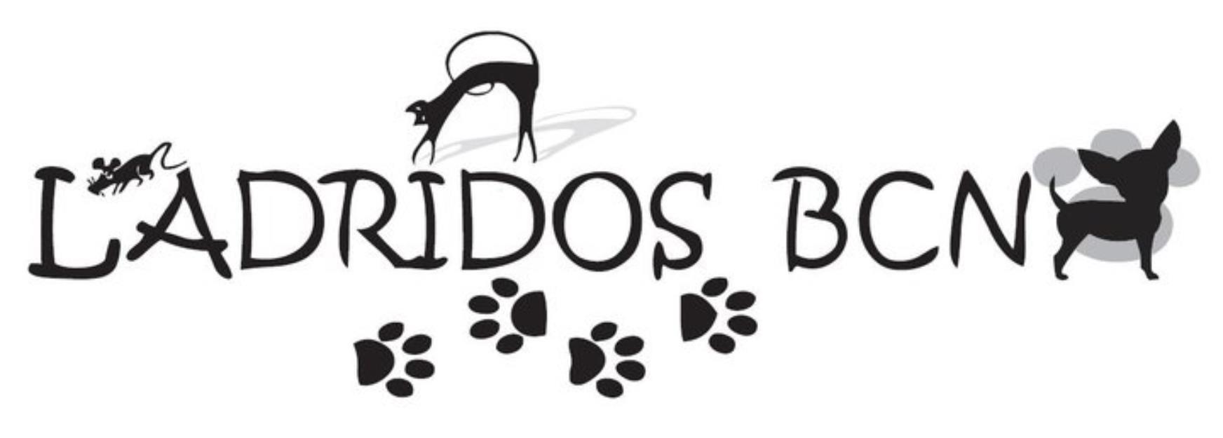 Cachorritos de todas las razas 360€