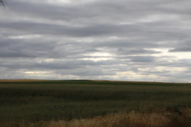 Finca de regadio 1000 has en badajoz