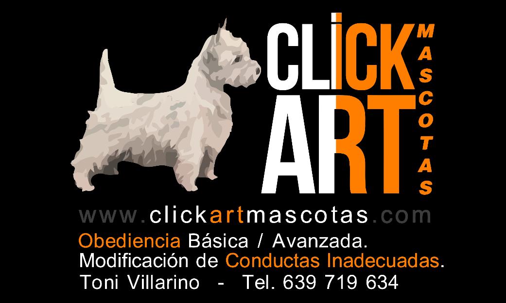 Adiestramiento Canino Barcelona y Baix Llobregat