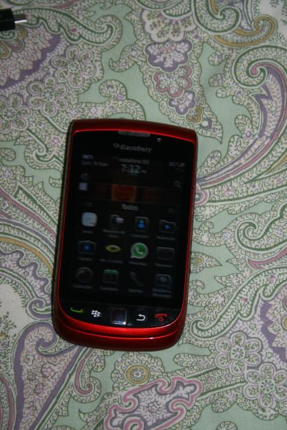 Blackberry Torch