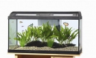 Acuario casi nuevo - mejor precio | unprecio.es