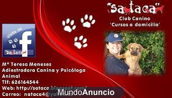 Adiestramiento canino