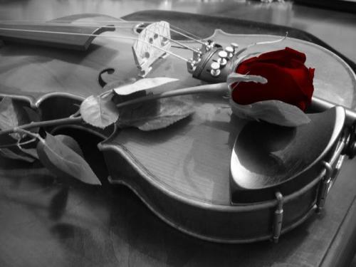 Música para eventos. Violinista o agrupación musical.