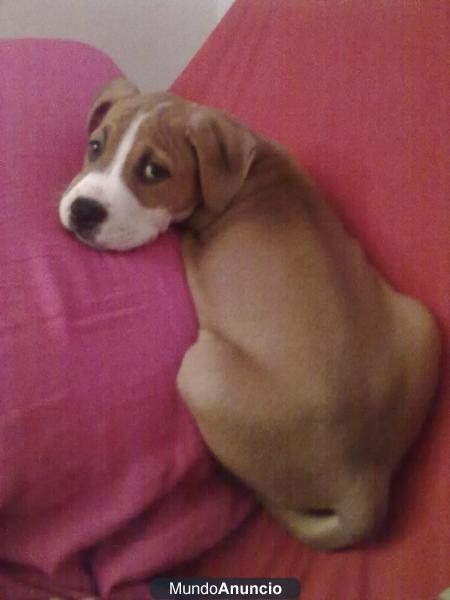 busco NOVIA!!