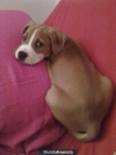 busco NOVIA!! - mejor precio | unprecio.es