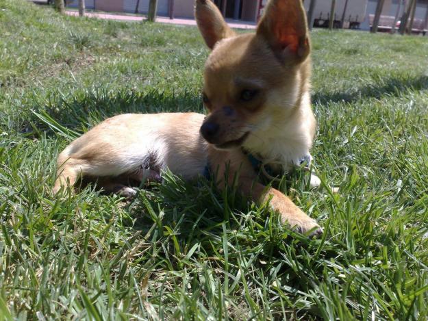 busco novia para una noche loca