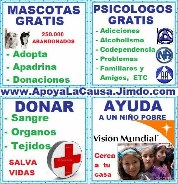 GRATUITO, Adopta Mascotas Abandonadas, Perros, Gatos, NO LO COMPRES, Adoptalo, lo entregan desparasitado, esterilizado,