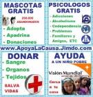 GRATUITO, Adopta Mascotas Abandonadas, Perros, Gatos, NO LO COMPRES, Adoptalo, lo entregan desparasitado, esterilizado, - mejor precio | unprecio.es