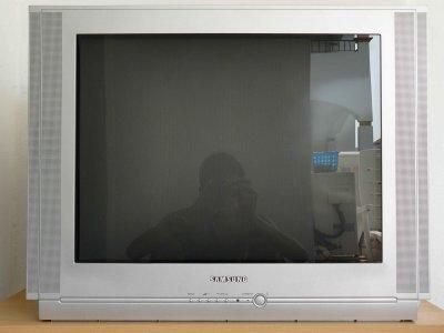 VENDO TV SAMSUNG de tubo y pantalla 29