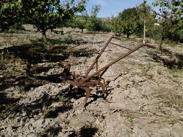 CAMBIO ARADOS ANTIGUOS Y UNA SEMBRADORA