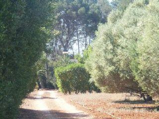 Finca/Casa Rural en venta en Algaida, Mallorca (Balearic Islands)