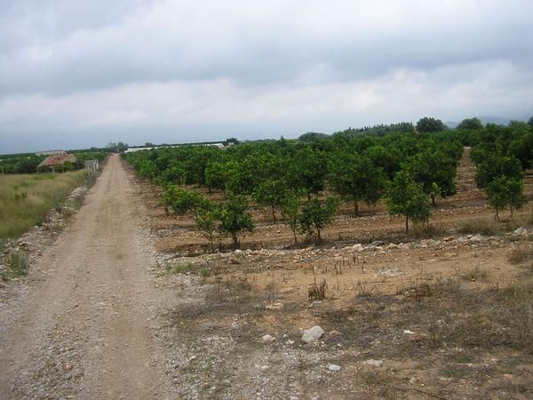 Se vende finca rustica