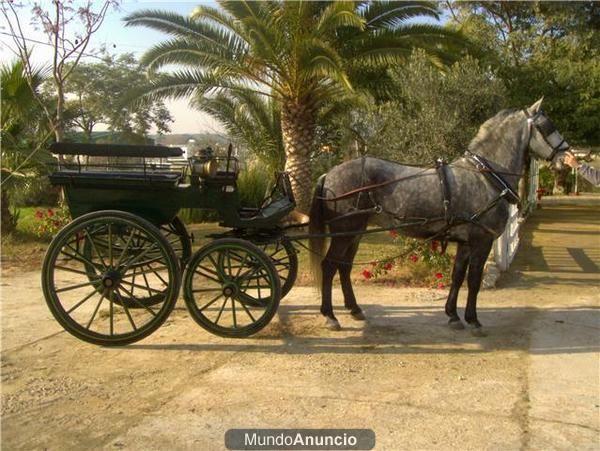 coche de caballos tipo jardinera