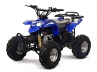 QUAD BIFARO COMPETICION 110CC STRONG L-3 - mejor precio | unprecio.es