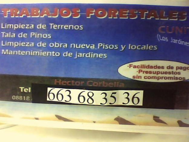 limpieza parcelas corbella 663-683-536 forestales jardineros podas pinos vallados parcelas