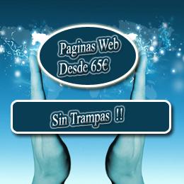 Diseño y desarrollo de paginas webs. Desde 65€