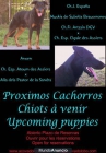 CAMADAS BEAUCERON ( PASTOR DE BEAUCE ) - mejor precio | unprecio.es