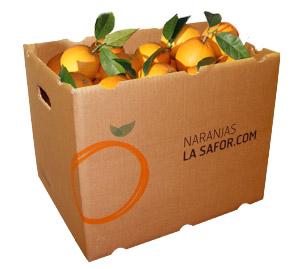 Naranjas la safor | Las mejores naranjas de Valencia
