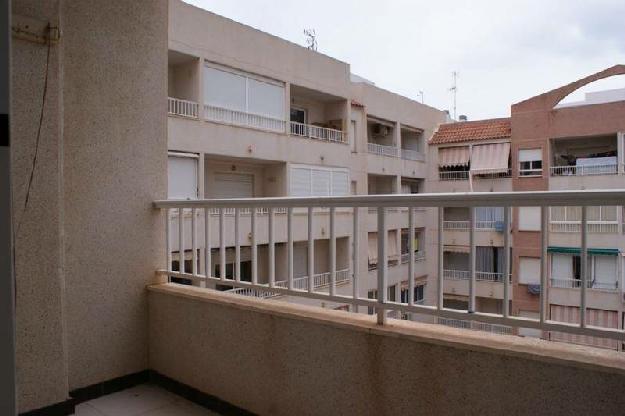 Estudio en Torrevieja