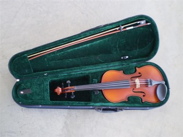 VIOLIN PARA PRINCIPIANTES