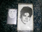 articulos de michael jackson - mejor precio | unprecio.es