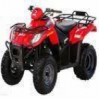 VENDO ARCTIC CAT 250 2X4 - mejor precio | unprecio.es